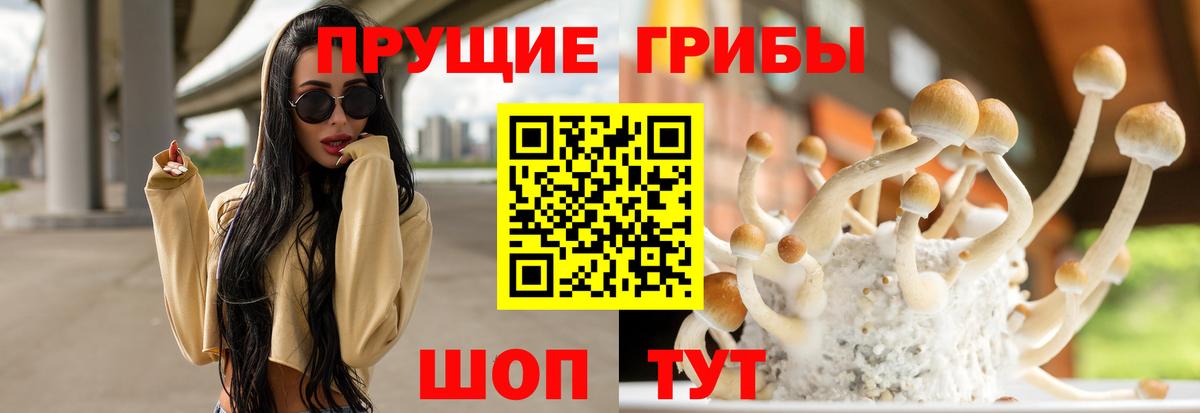 Родники  Галлюциногенные грибы мицелий  Вход с VPN  Псилоцибиновые грибы ЛСД 